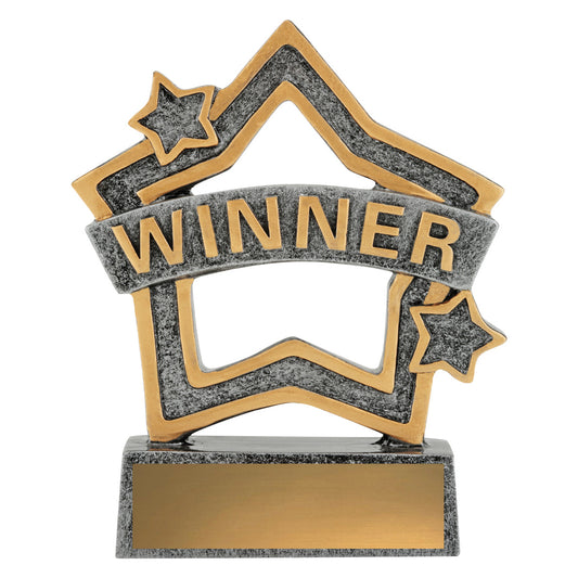 Rally Mini Star - Winner