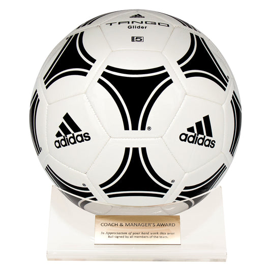 Acrylic Ball Holder