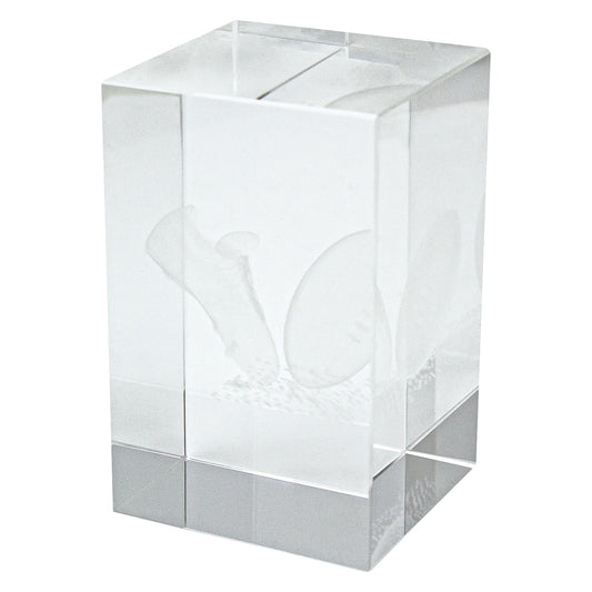 Crystal Block Award