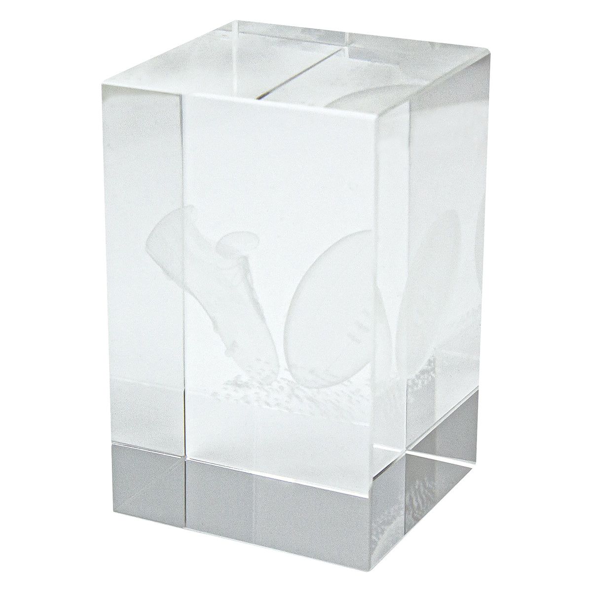 Crystal Block Award