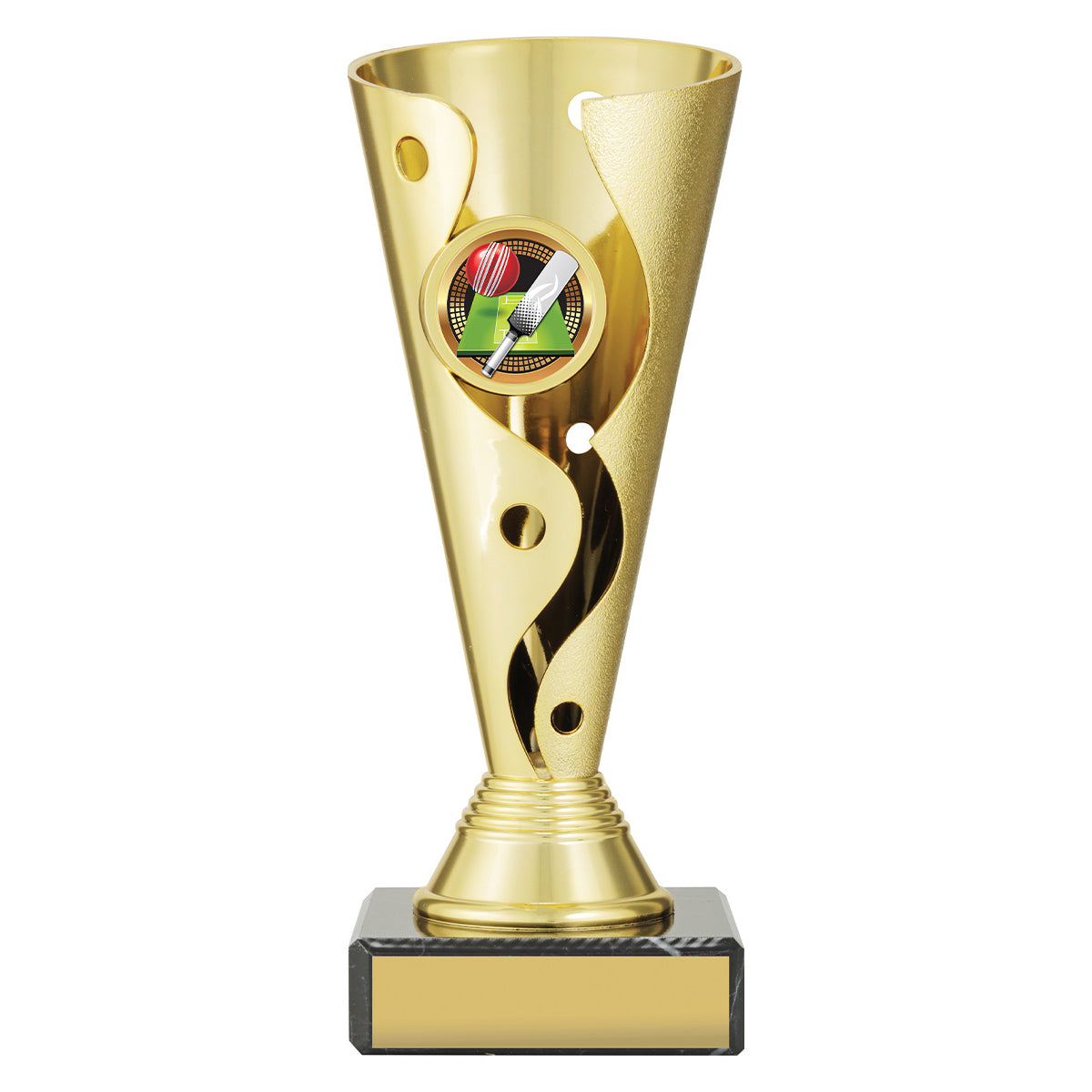 Carnival Cup - Cricket