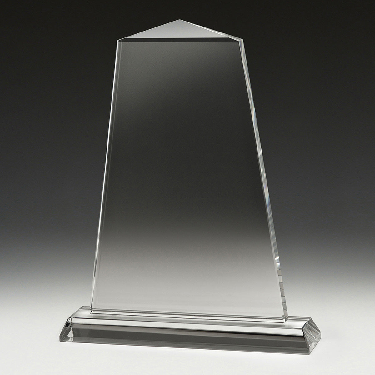 Tribute Award