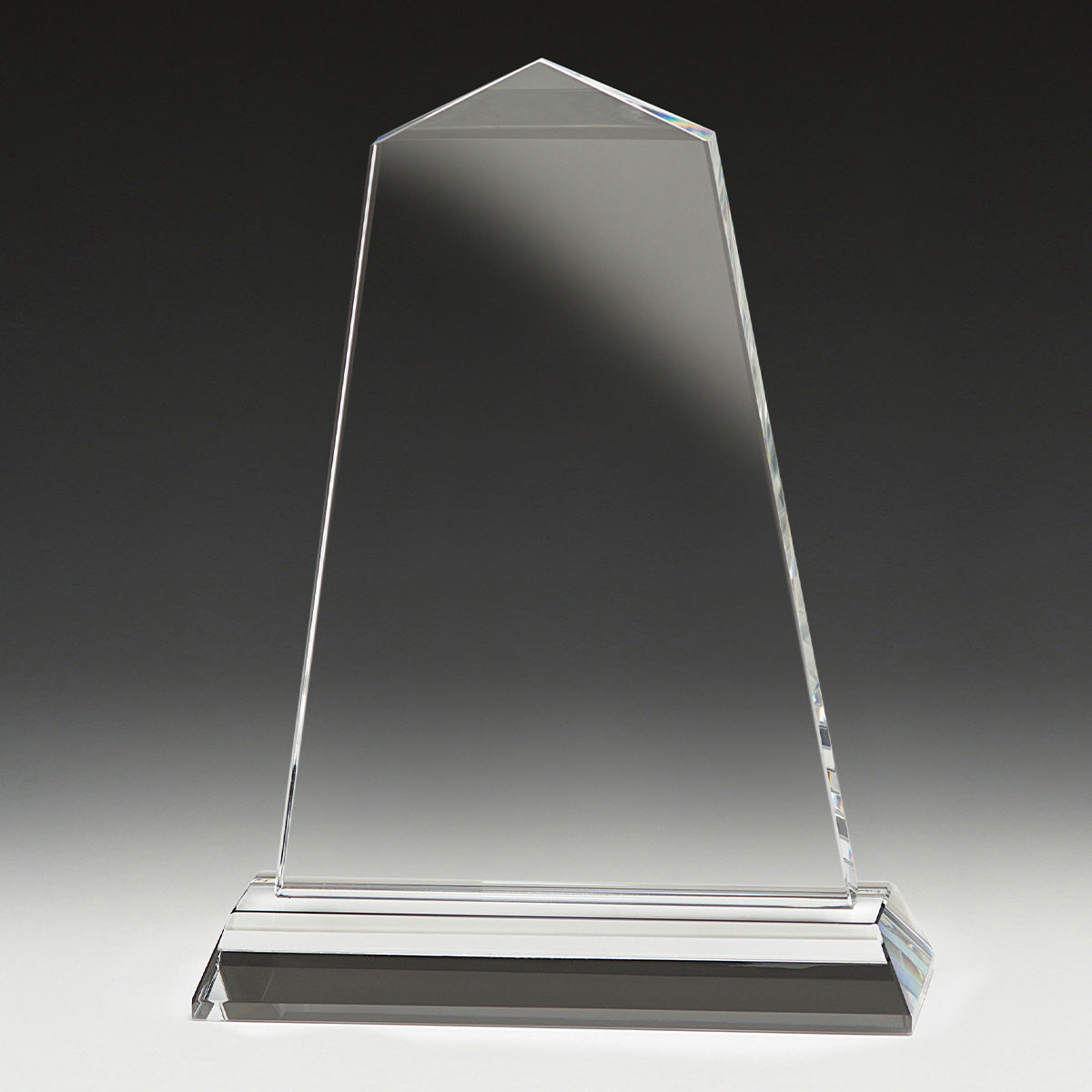 Tribute Award