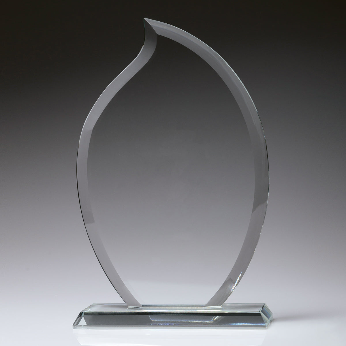 Torch Award
