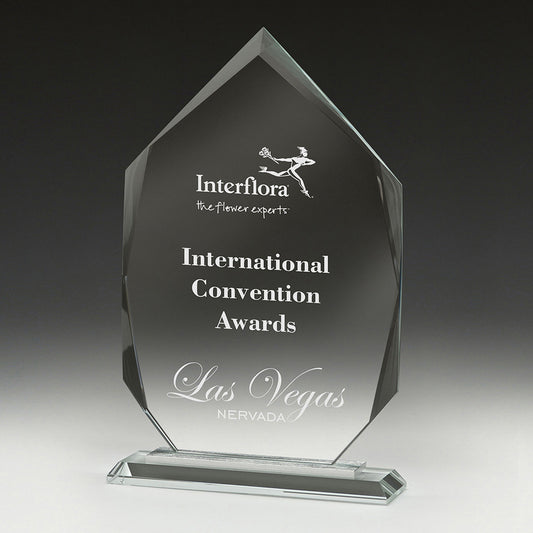 Integrity Arrowhead