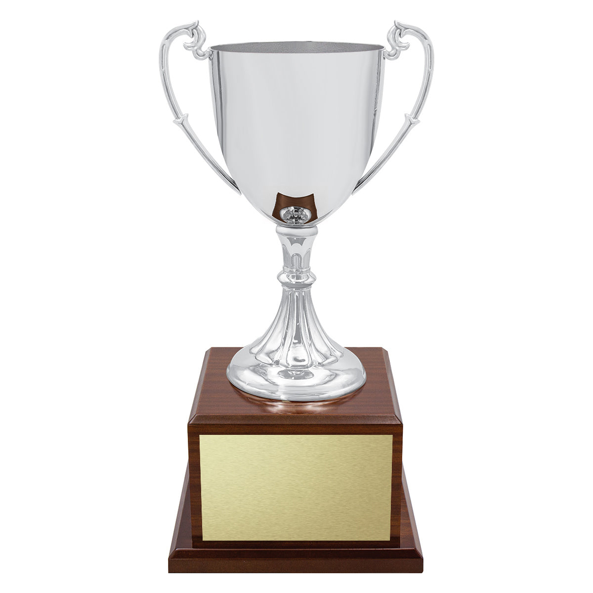 Classic Silver Cup