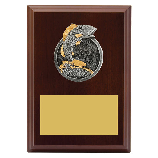 Peak Plaque Fishing