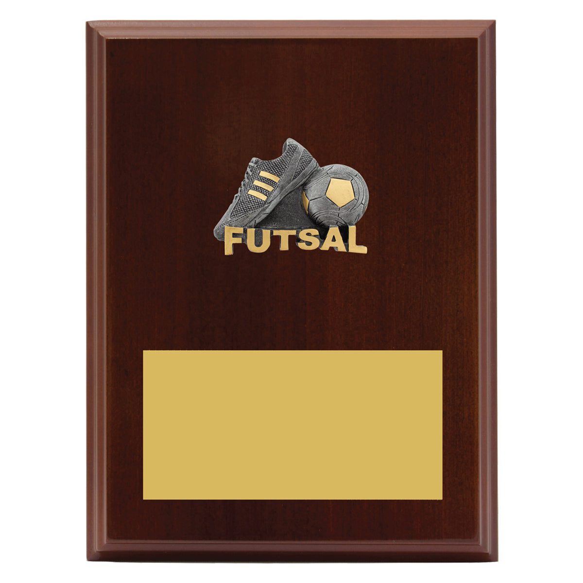 Peak Plaque Futsal