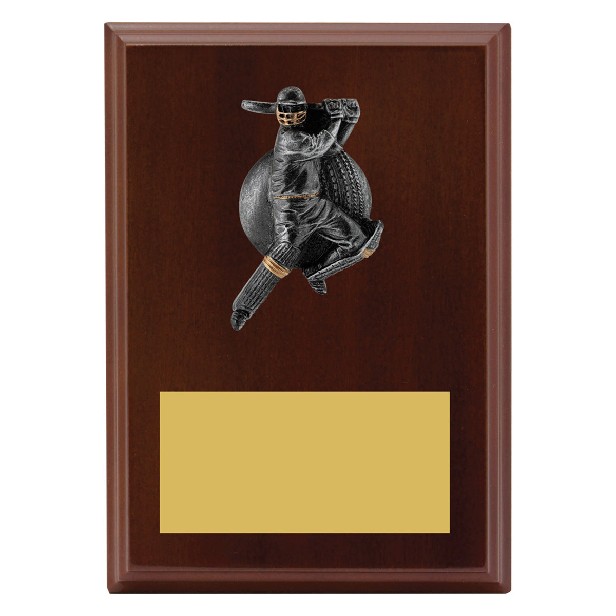 Plaque - Male Batting