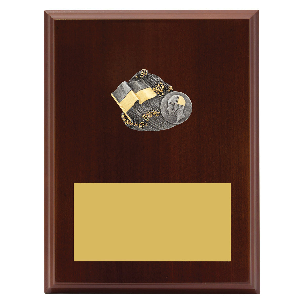 Peak Plaque Lifesaving