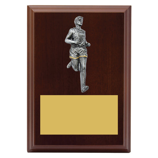 Peak Plaque - Male