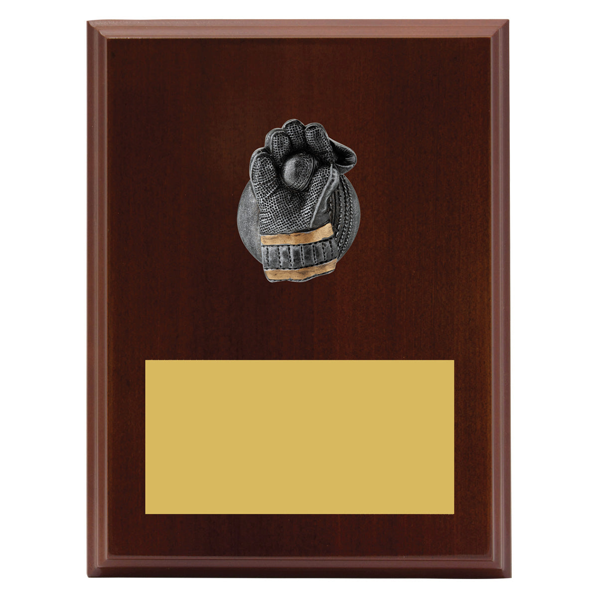 Plaque - Wicketkeeper