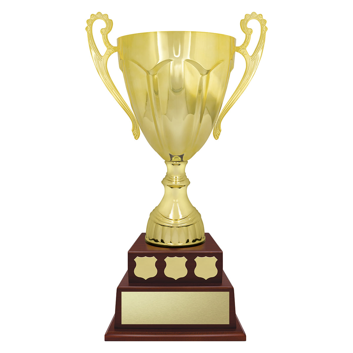 Cup Perpetual