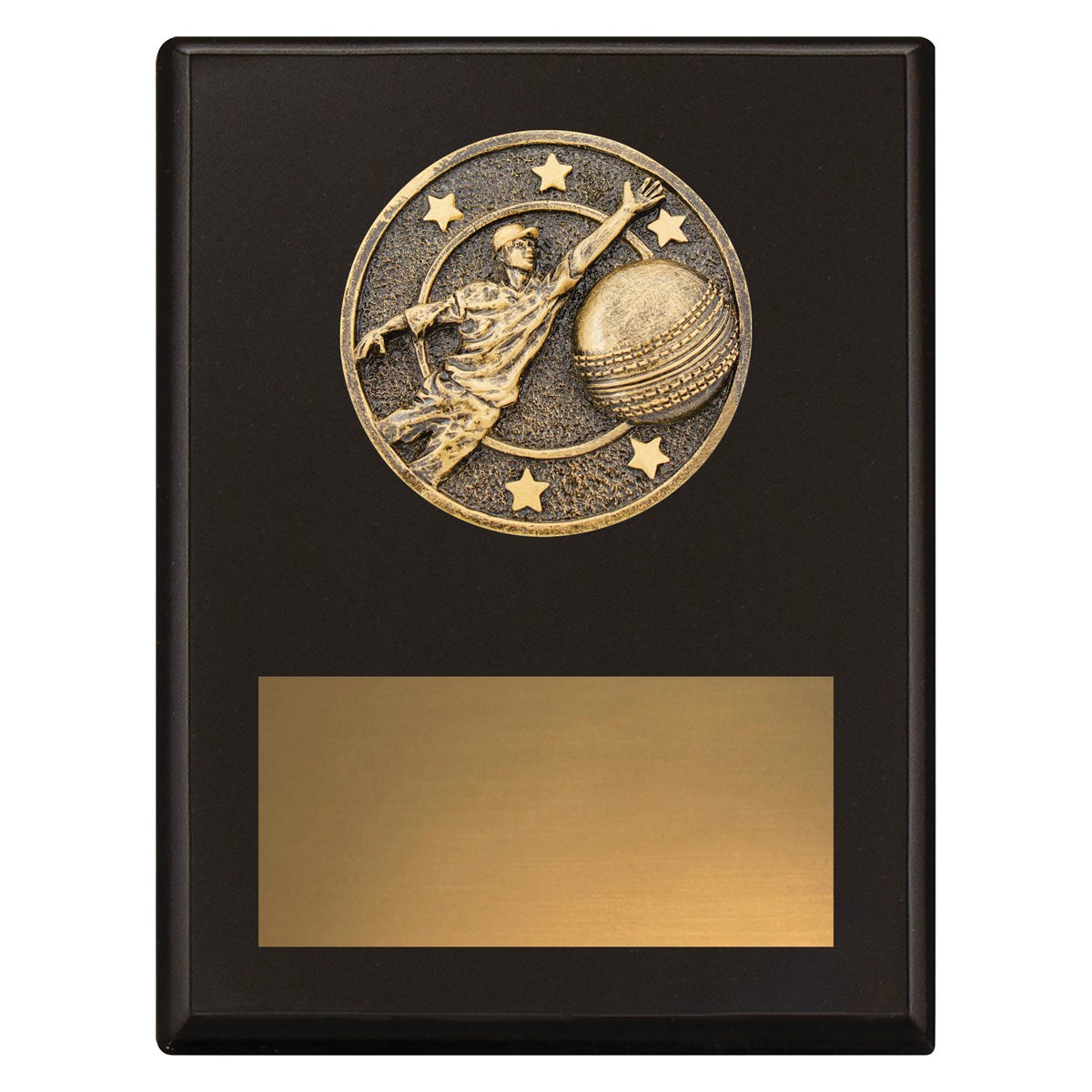 Challenge Plaque - Fielding