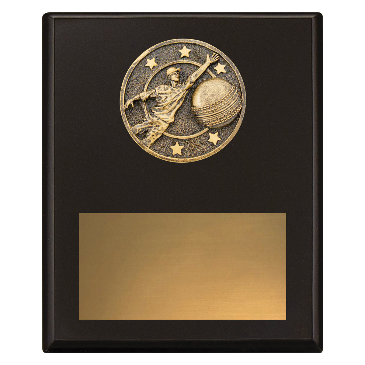 Challenge Plaque - Fielding