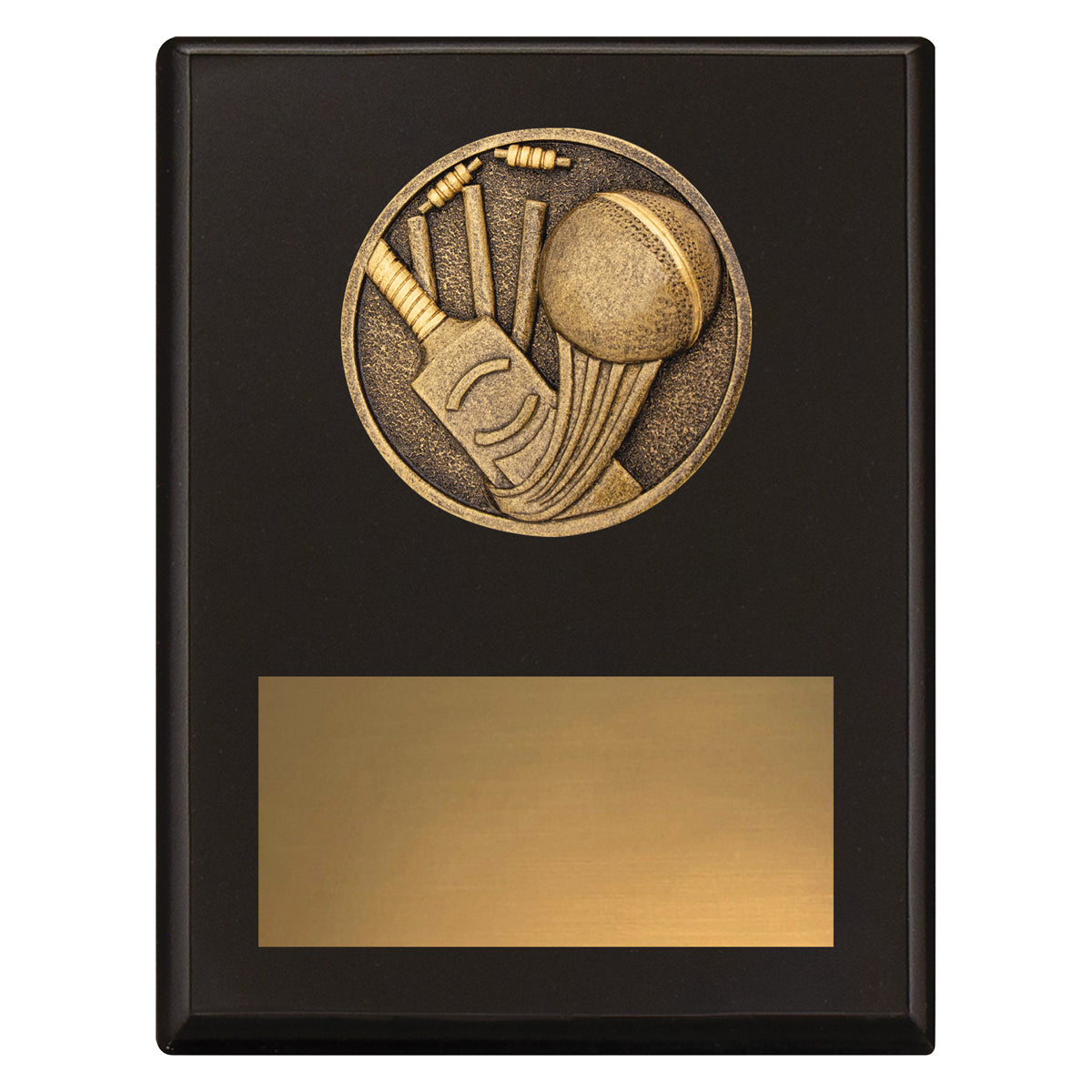 Challenge Plaque - Cricket