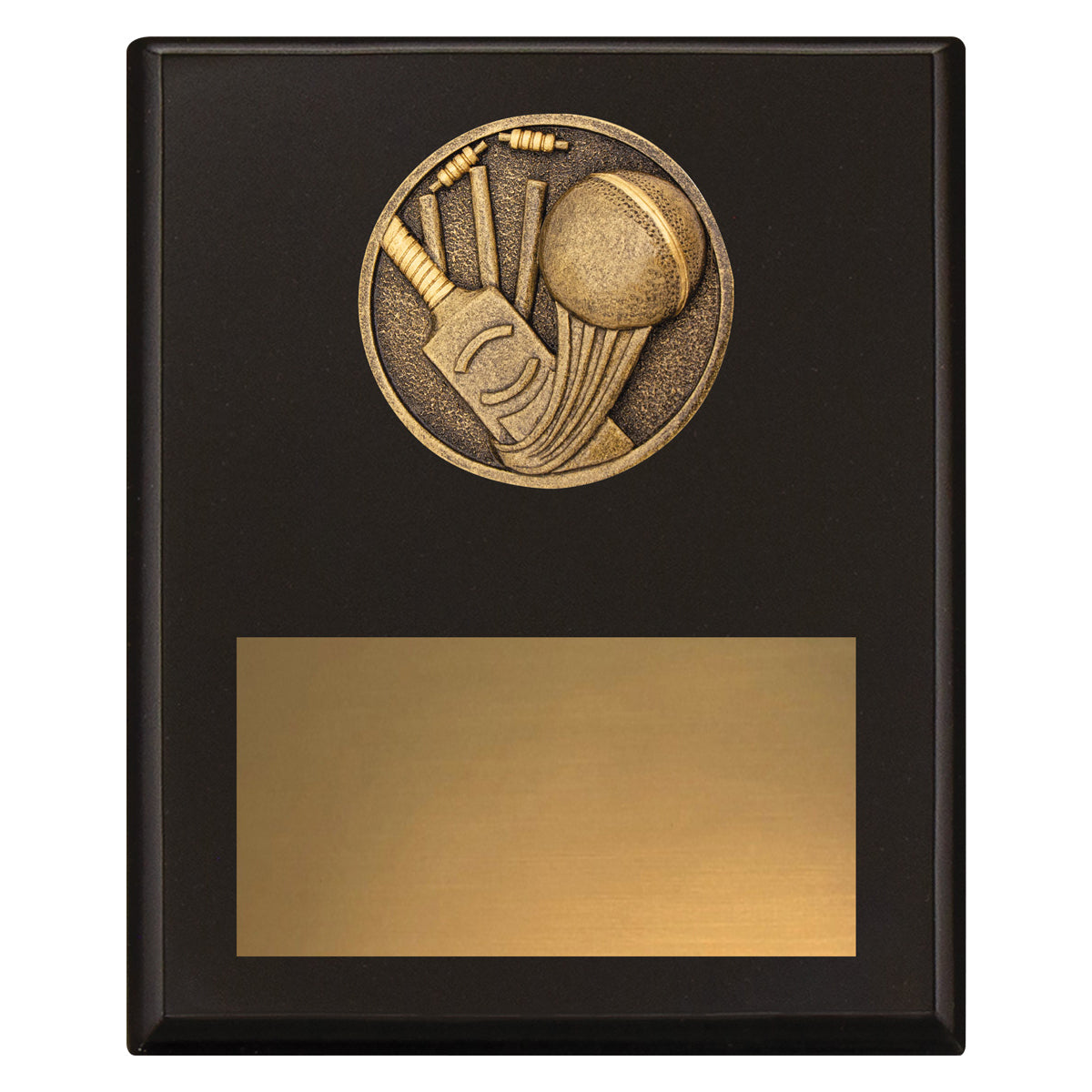 Challenge Plaque - Cricket