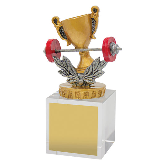 Fitness Budget Crystal