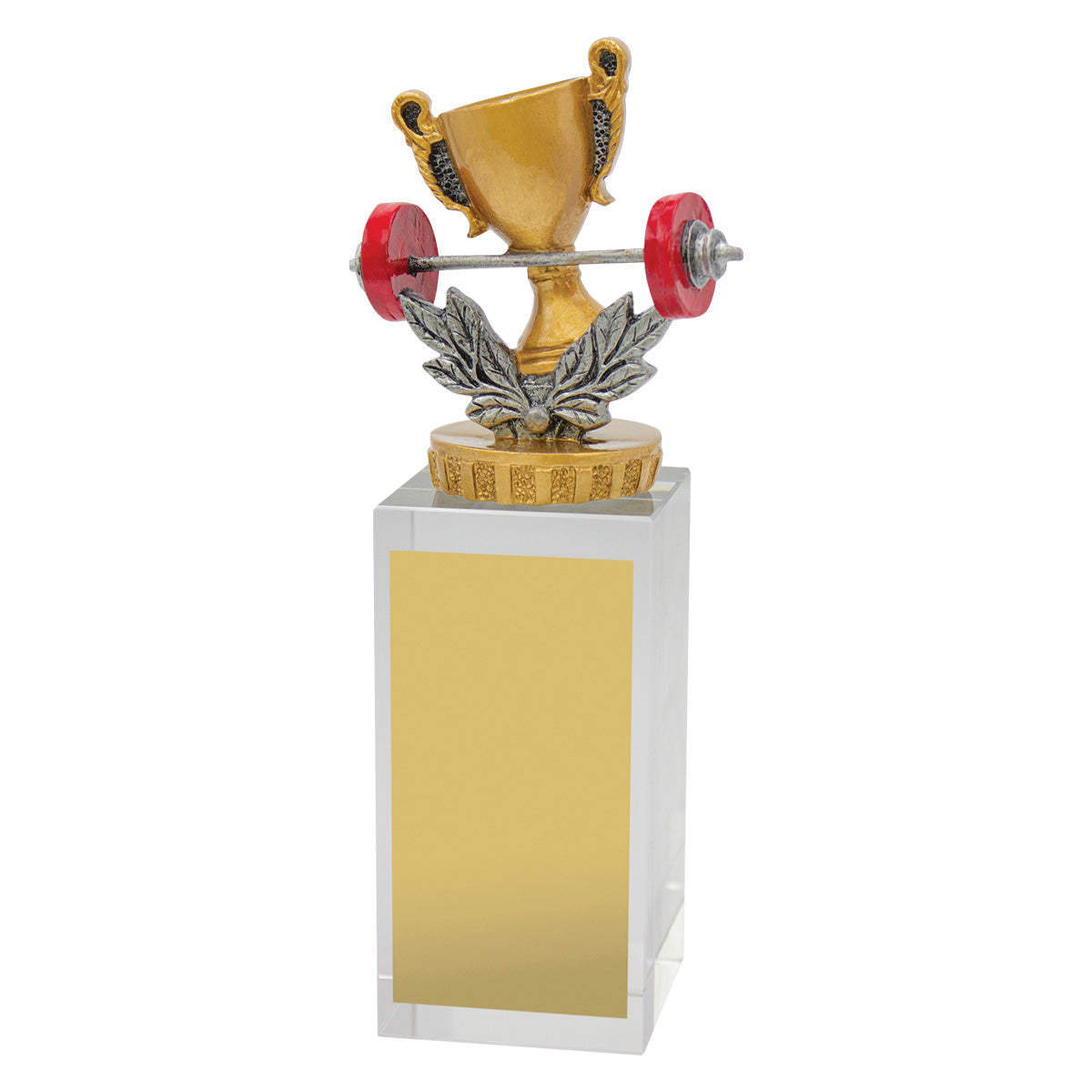 Fitness Budget Crystal