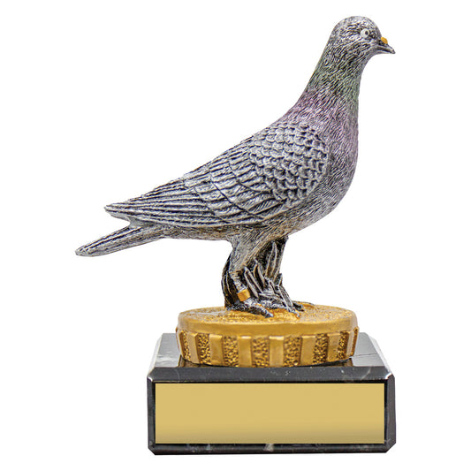Pigeon Marble